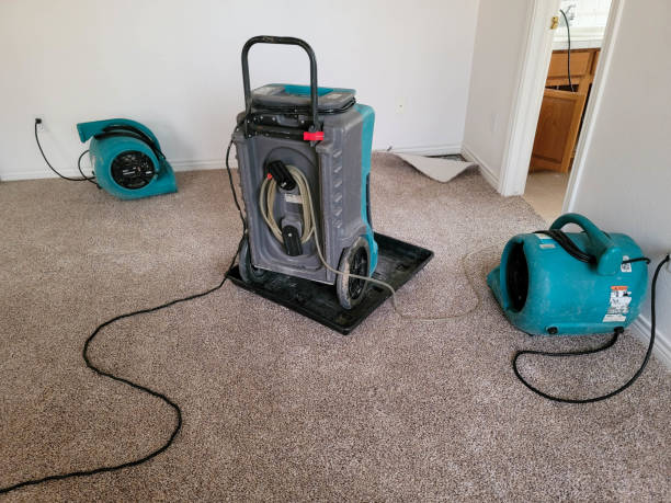 Best Carpet water damage restoration  in Forestville, OH