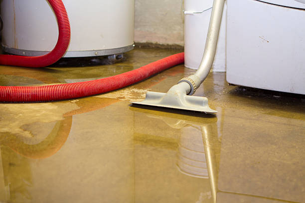 Best Fire Damage Restoration  in Forestville, OH