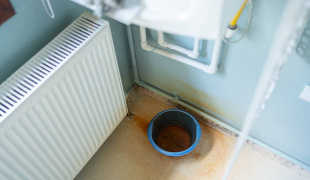 Best 24/7 water damage repair  in Forestville, OH