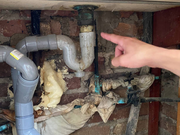 Best Local water damage restoration  in Forestville, OH