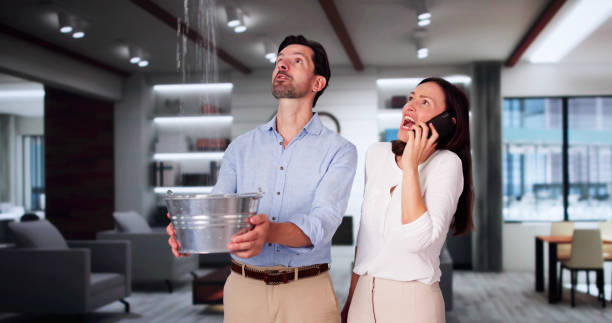 Best 24/7 water damage repair  in Forestville, OH
