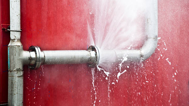 Best Water damage restoration insurance claims  in Forestville, OH